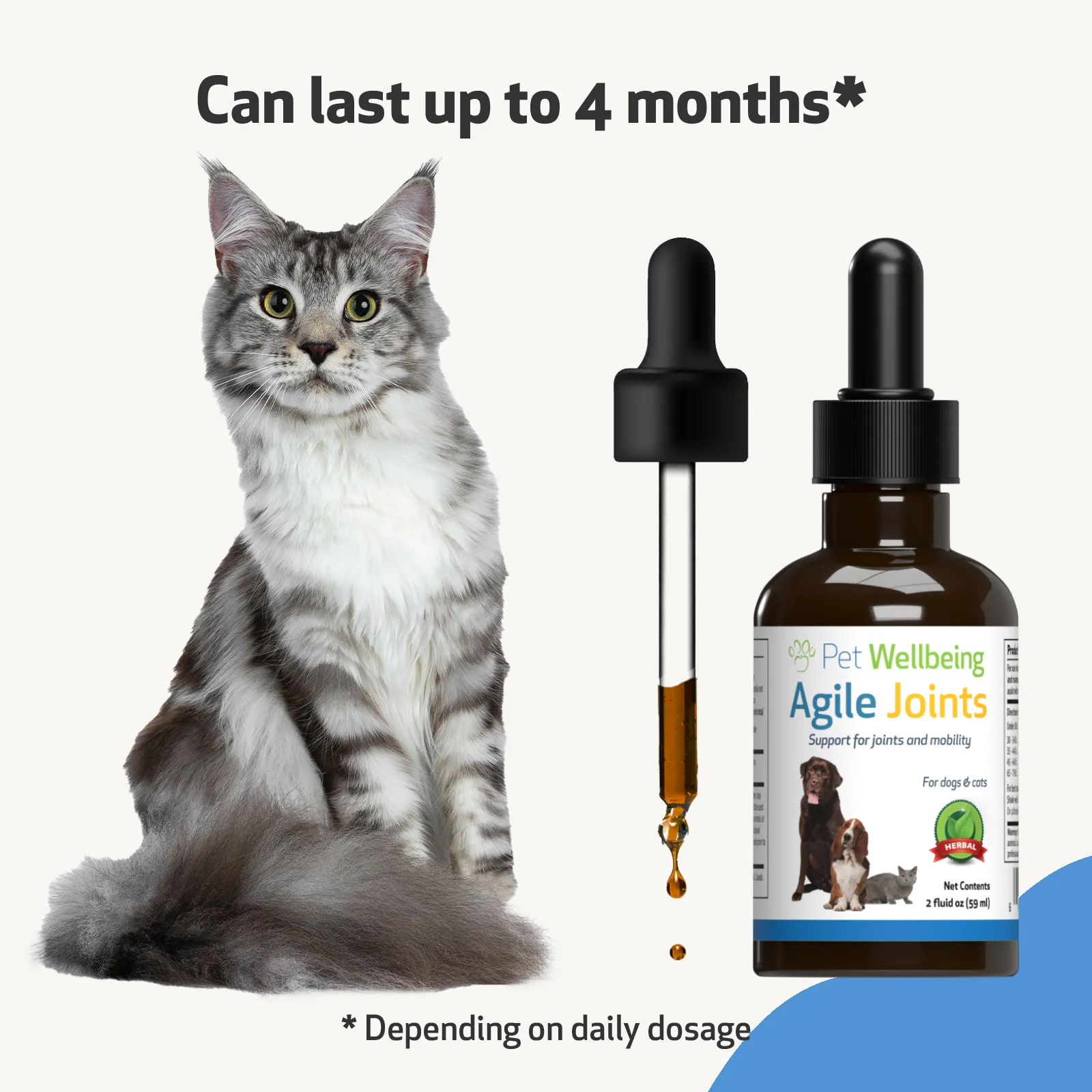 Agile Joints - Hip and Joint Health for Cats