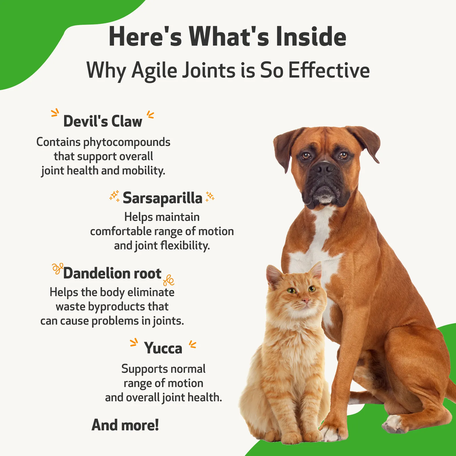 Agile Joints - Hip and Joint Health for Cats
