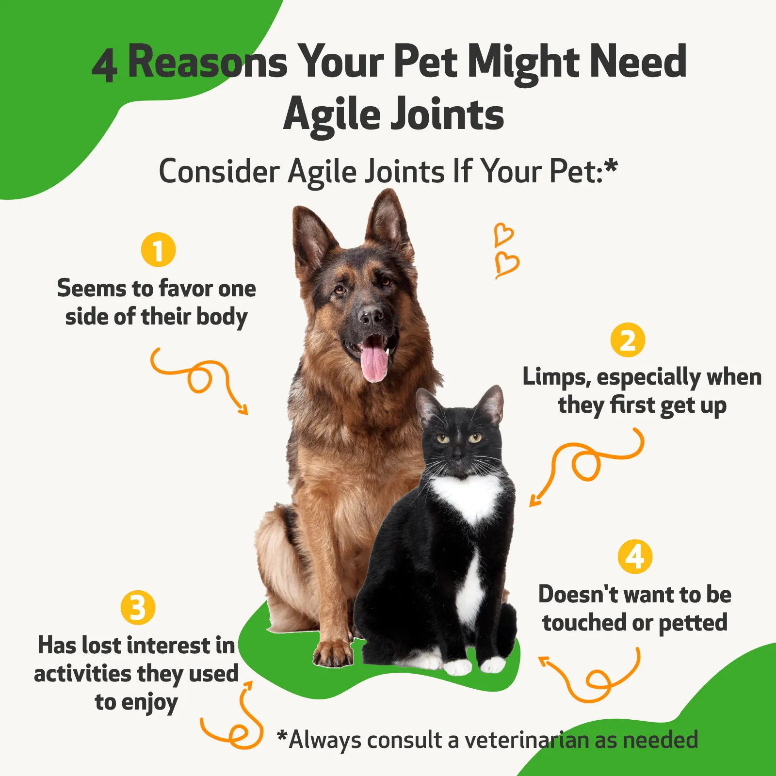 Agile Joints - Hip and Joint Health for Cats