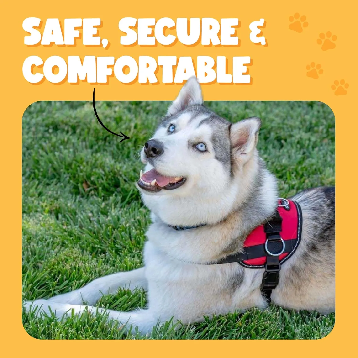 Bark Appeal Pink Hibiscus No-Pull Dog Harness for Small to Medium Sized Pets  Adjustable, Reflective Vest with 3 Leash Clips for Added Control, Easy Walks & Training  Medium