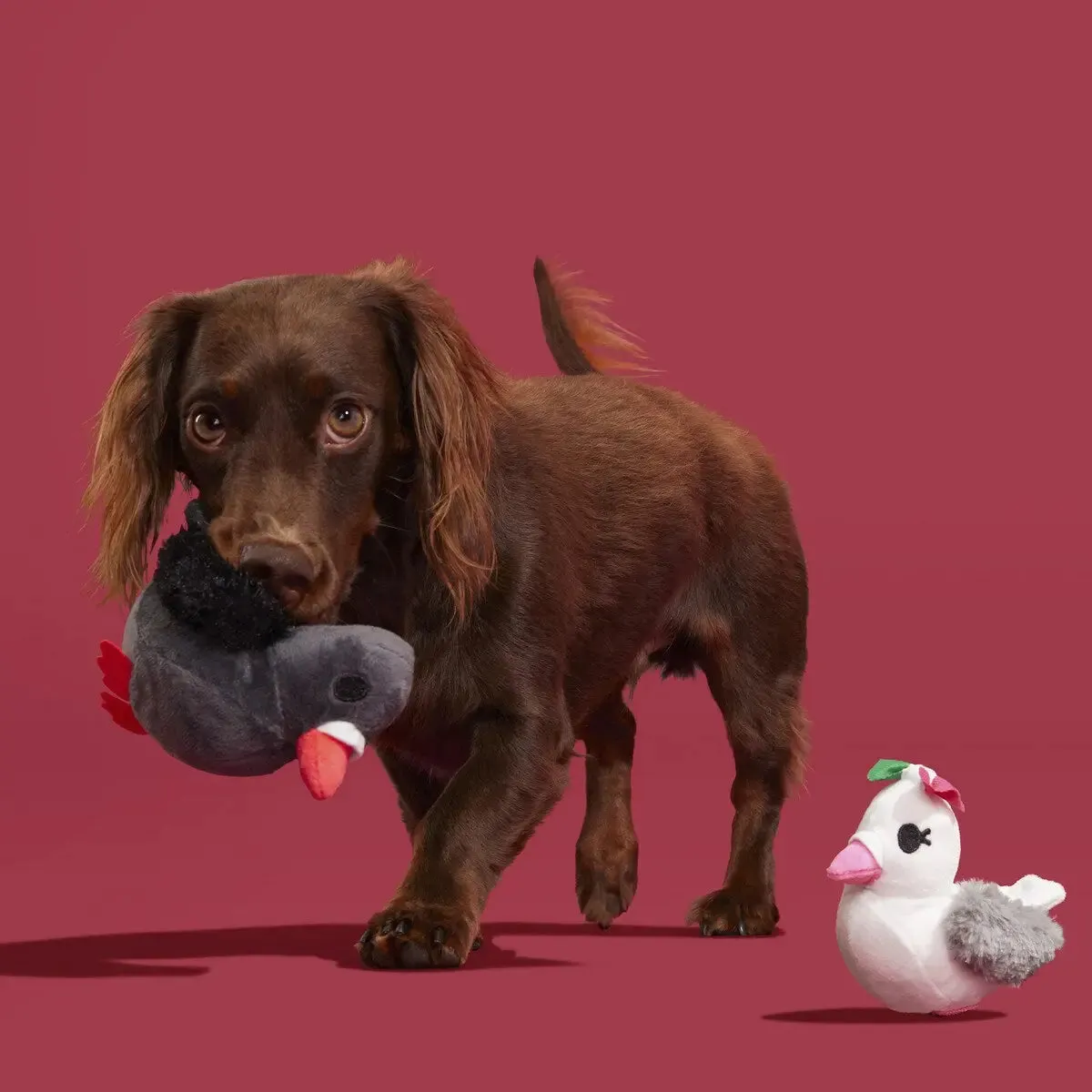 BARK Coo Amore Plush Dog Toy