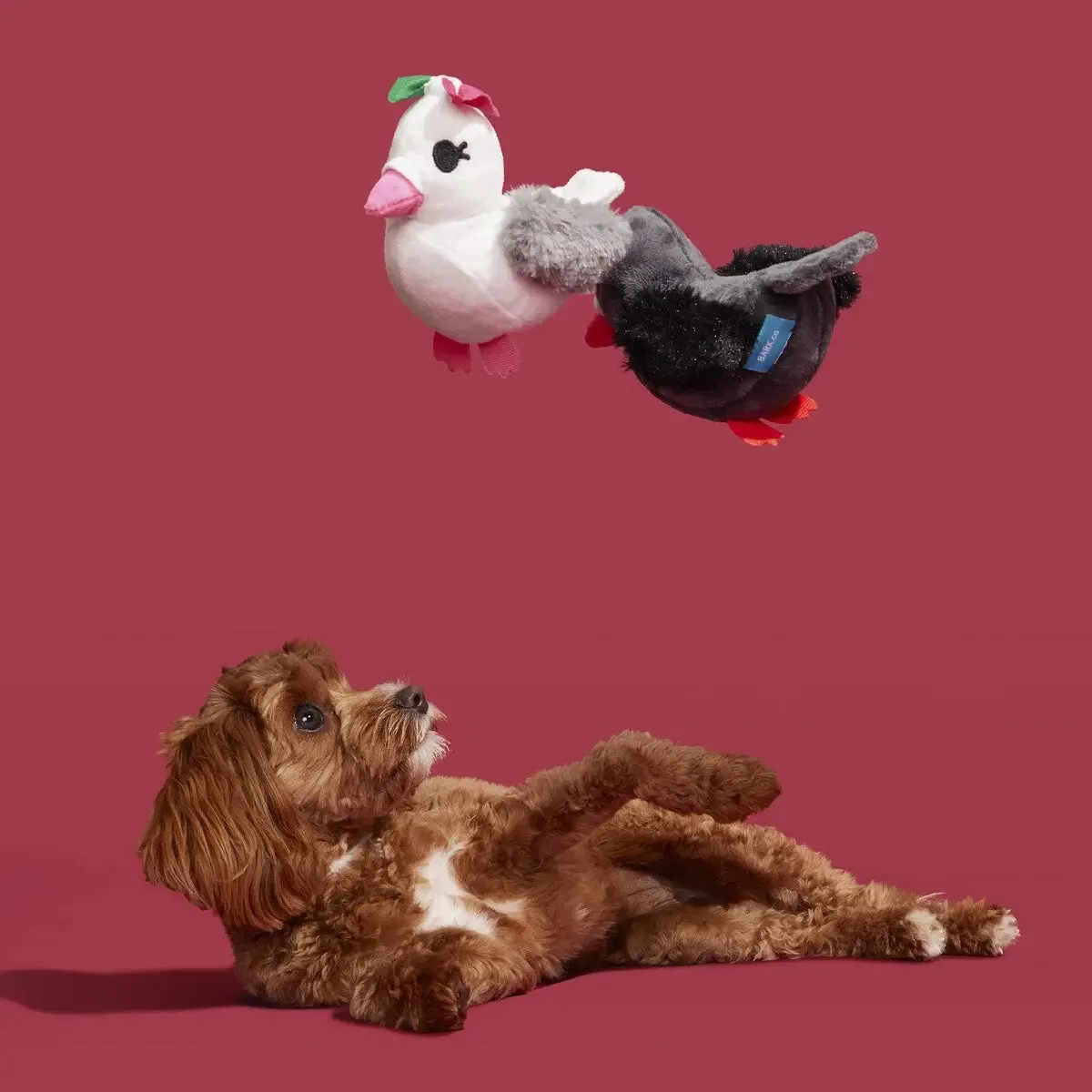 BARK Coo Amore Plush Dog Toy