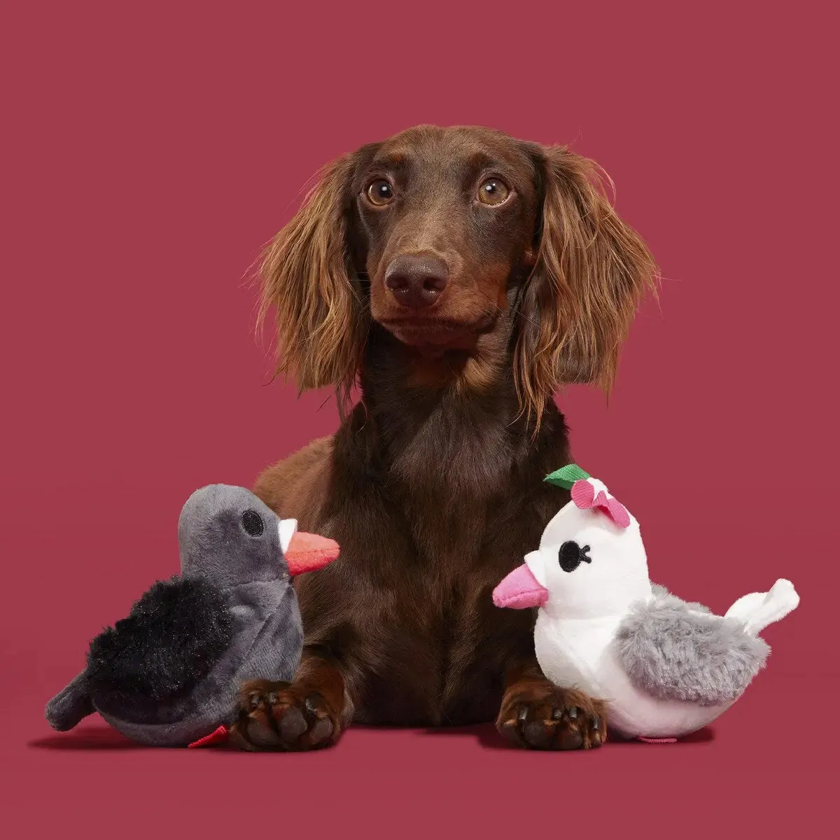 BARK Coo Amore Plush Dog Toy