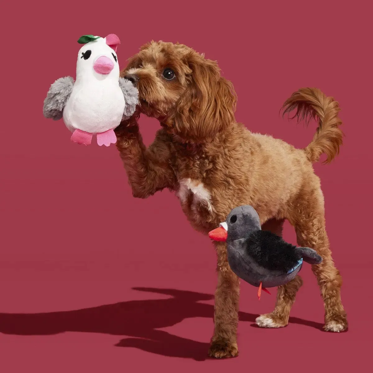 BARK Coo Amore Plush Dog Toy