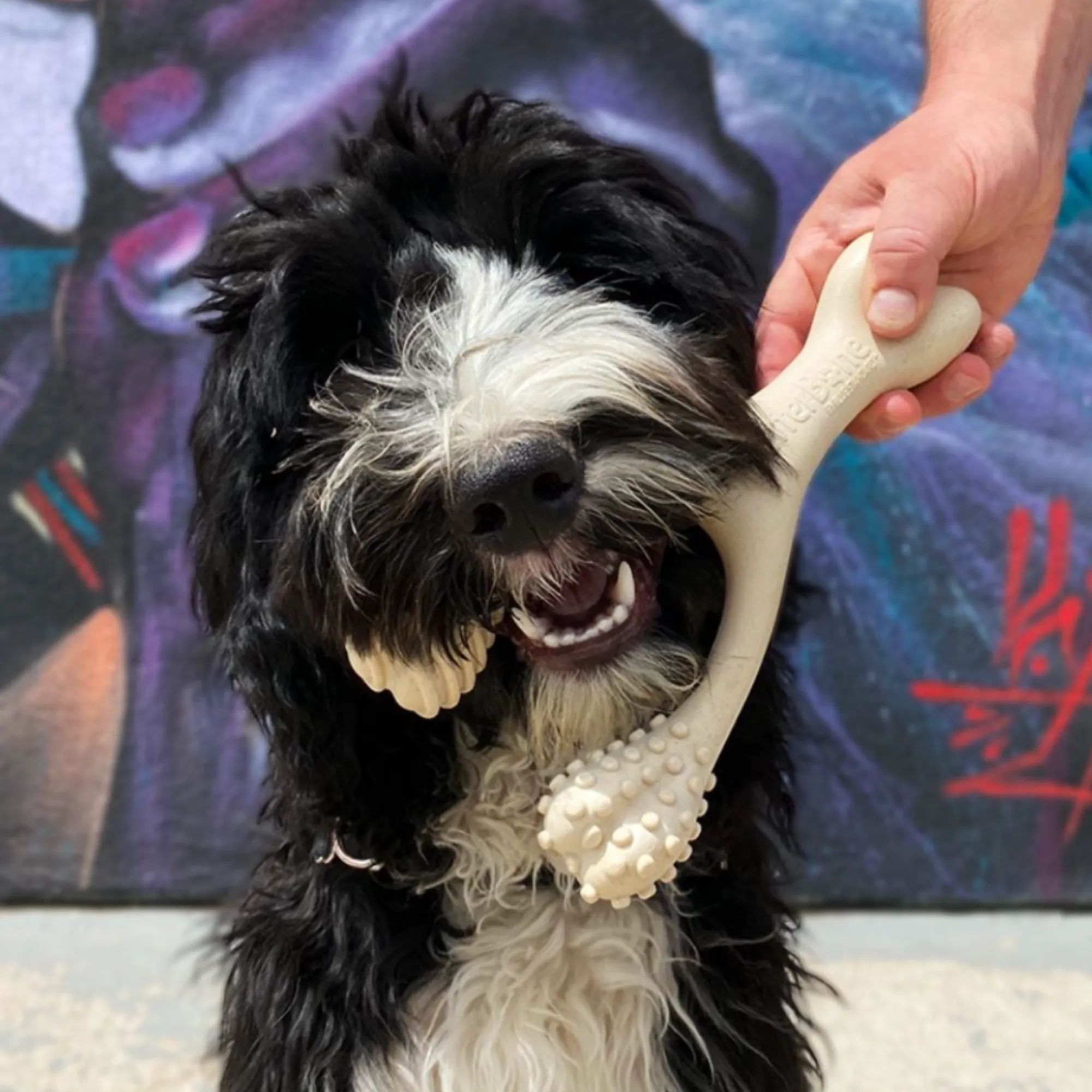 BetterBone SOFT Dog Chew - Perfect for Teething Puppies & Senior Dogs