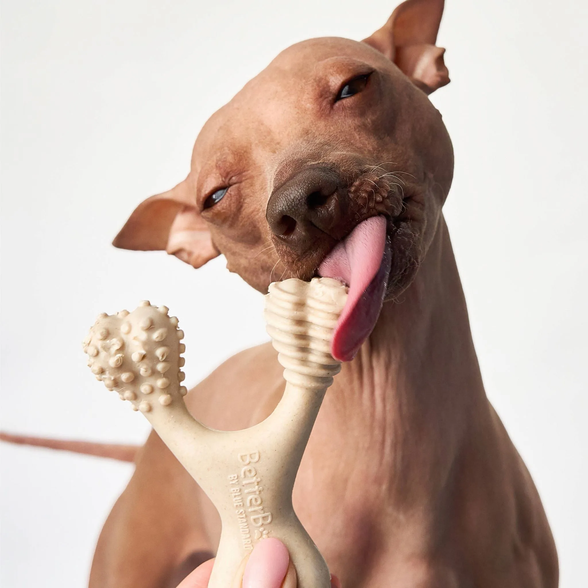 BetterBone SOFT Dog Chew - Perfect for Teething Puppies & Senior Dogs