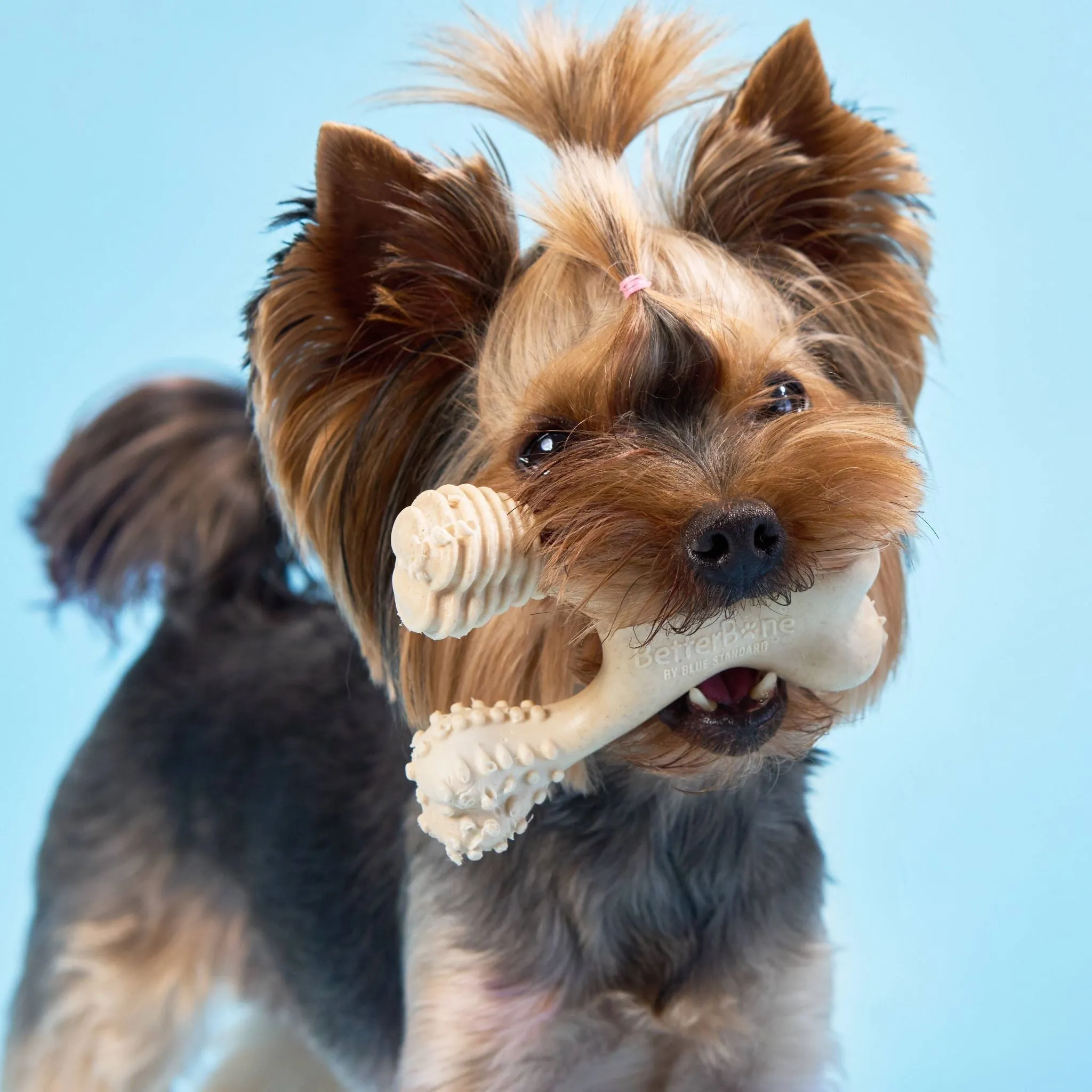 BetterBone SOFT Dog Chew - Perfect for Teething Puppies & Senior Dogs
