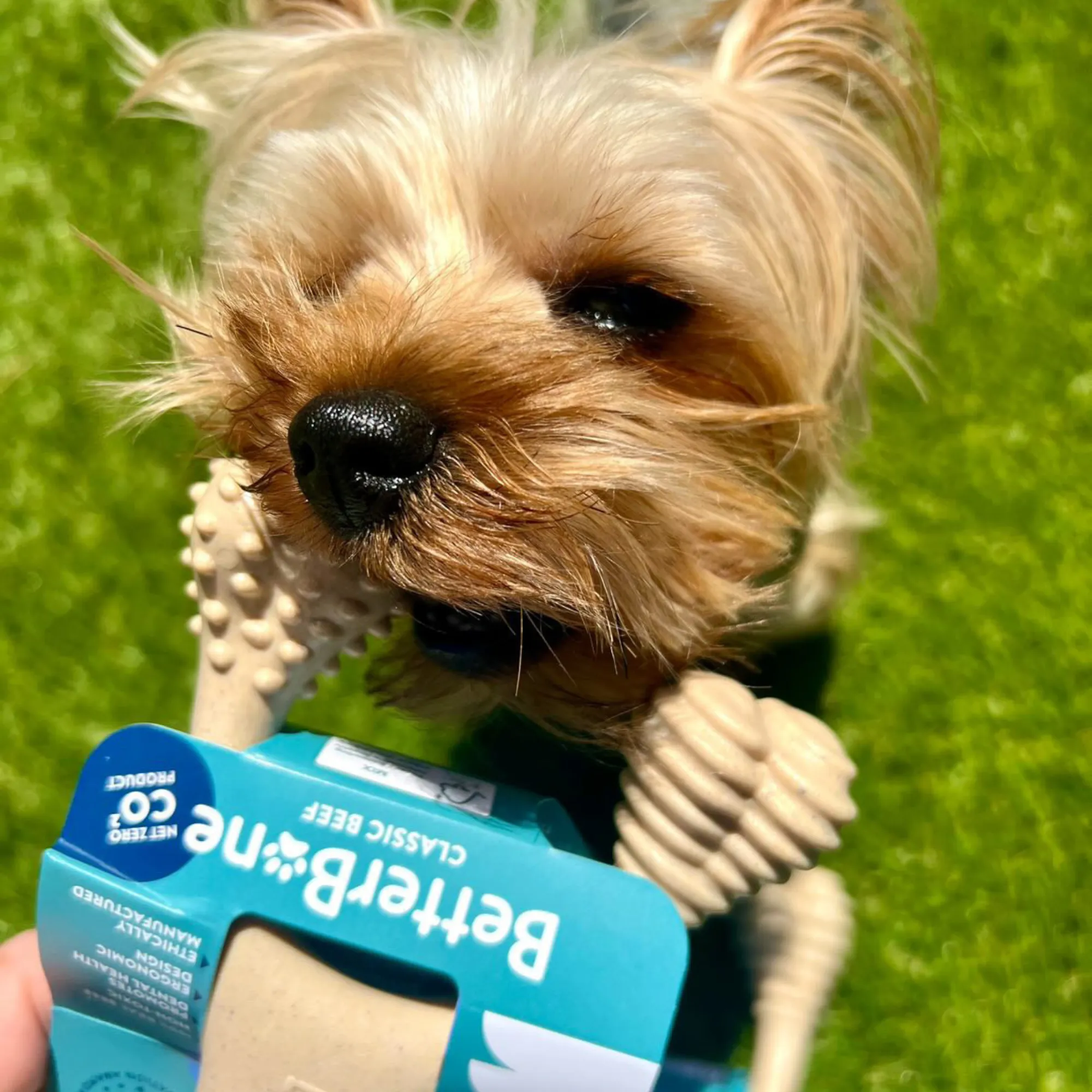 BetterBone SOFT Dog Chew - Perfect for Teething Puppies & Senior Dogs