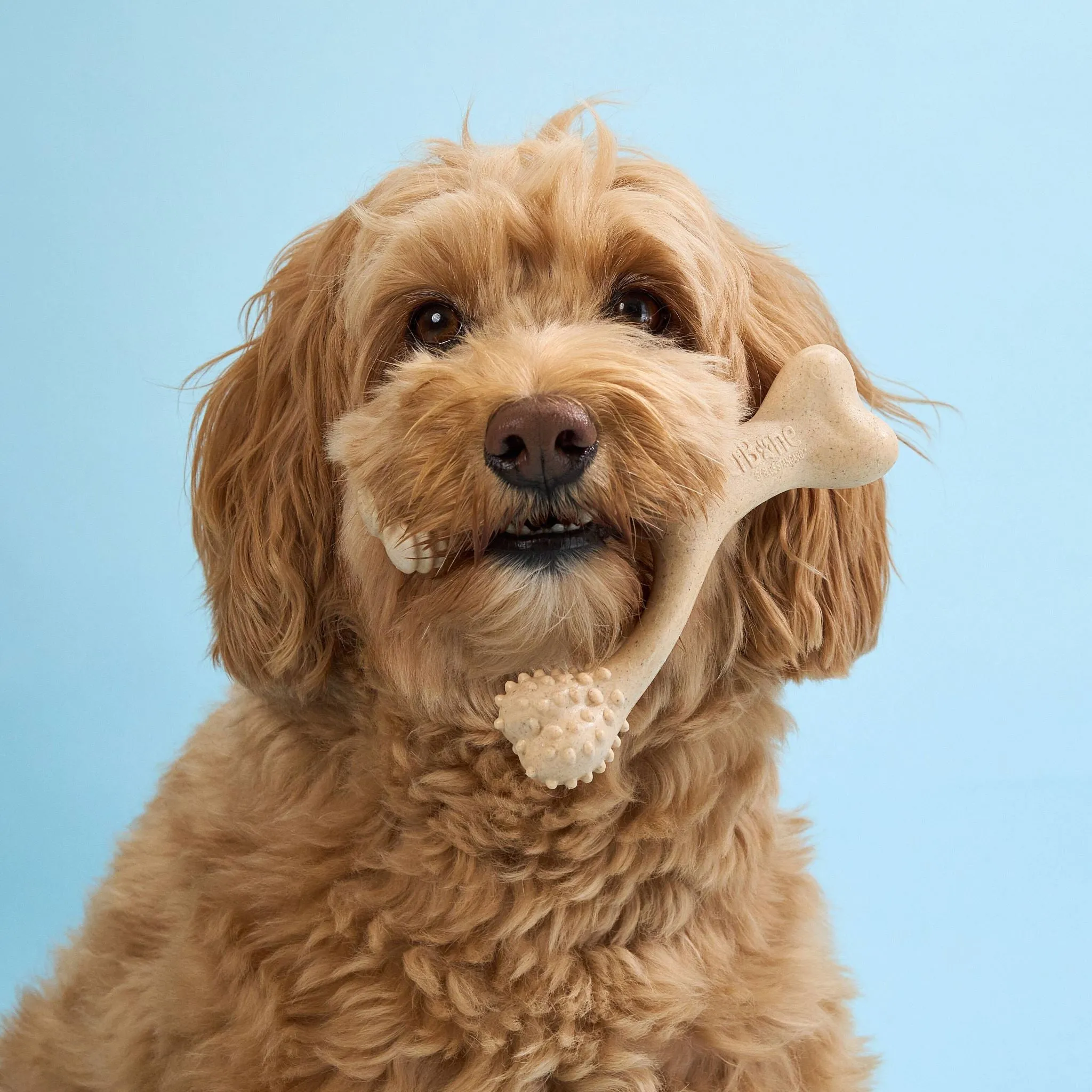 BetterBone SOFT Dog Chew - Perfect for Teething Puppies & Senior Dogs