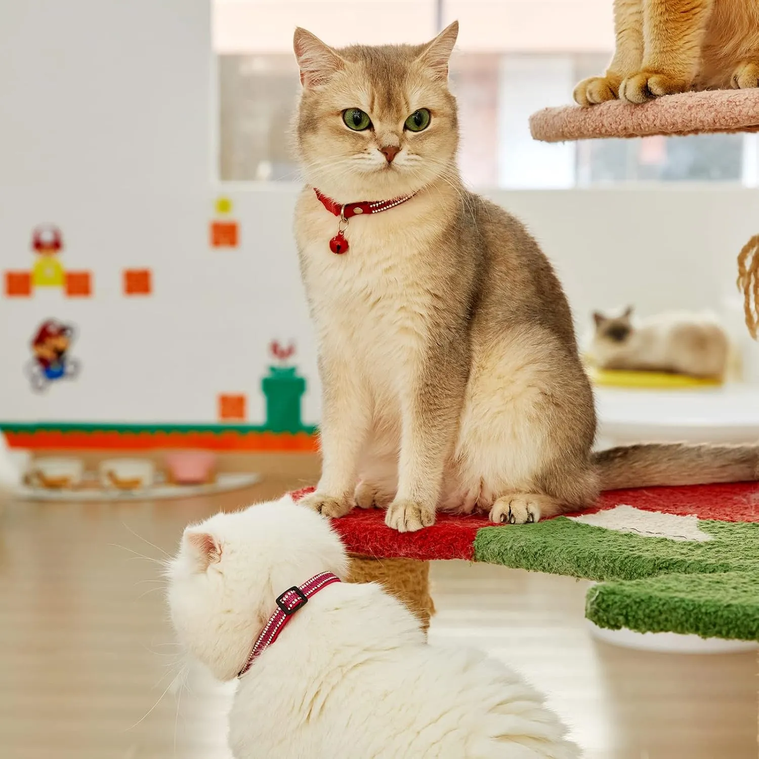 Breakaway Cat Collars, Kitten Collar with Bell,Adjustable Rhinestone Cat Collar for Girl & Boy CatsRed