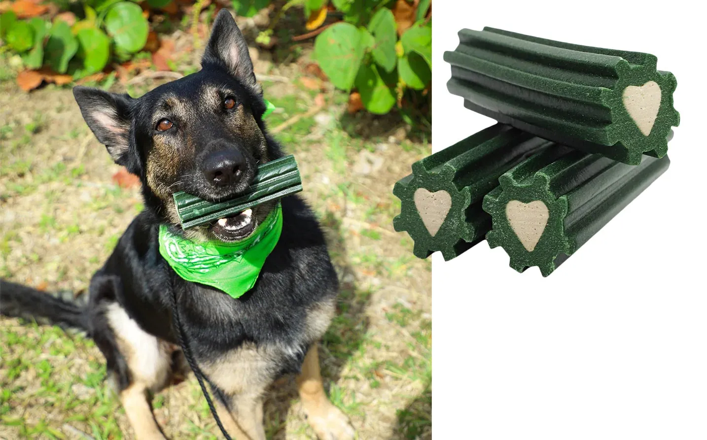 Brushless Toothpaste Extreme Clean Dental Treat For Dogs