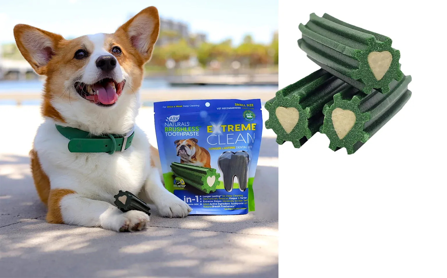 Brushless Toothpaste Extreme Clean Dental Treat For Dogs