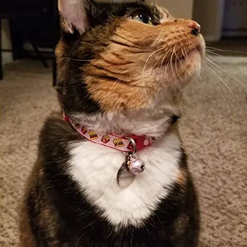 Burgers and Fries Cat Collar