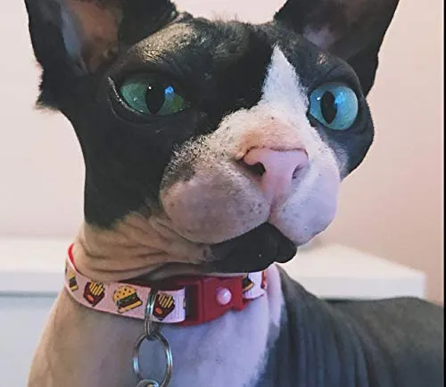 Burgers and Fries Cat Collar