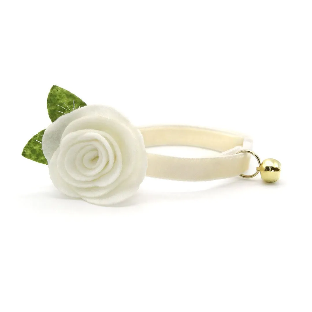 Cat Collar - "Velvet - Chantilly Cream" - Light Beige Ivory Velvet Cat Collar / Breakaway Buckle or Non-Breakaway / Cat, Kitten   Small Dog Sizes