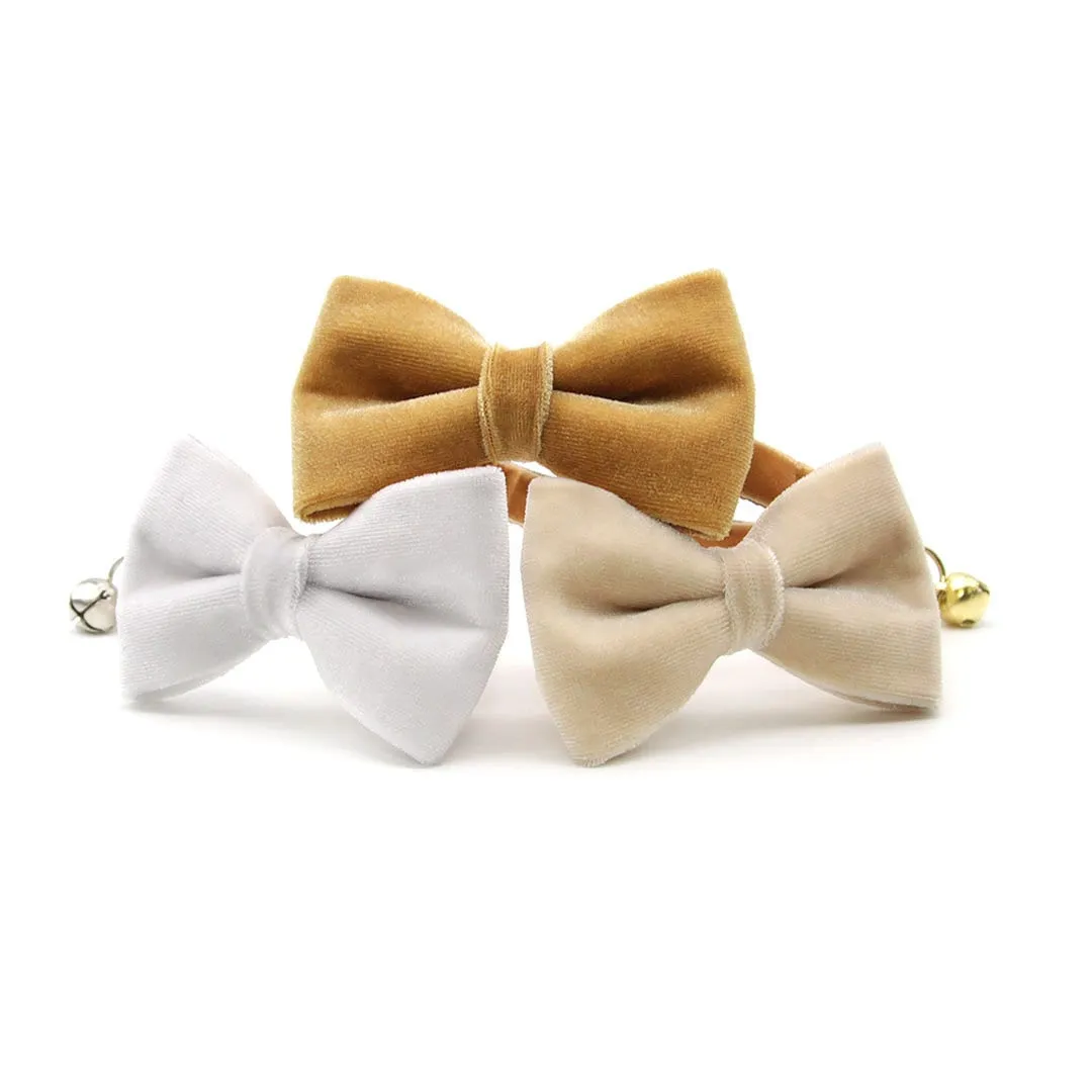 Cat Collar - "Velvet - Chantilly Cream" - Light Beige Ivory Velvet Cat Collar / Breakaway Buckle or Non-Breakaway / Cat, Kitten   Small Dog Sizes