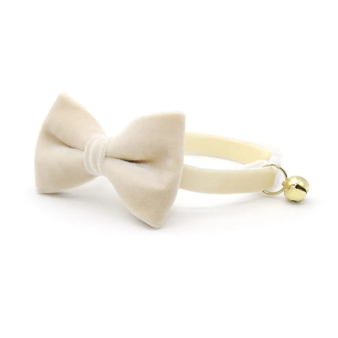 Cat Collar - "Velvet - Chantilly Cream" - Light Beige Ivory Velvet Cat Collar / Breakaway Buckle or Non-Breakaway / Cat, Kitten   Small Dog Sizes