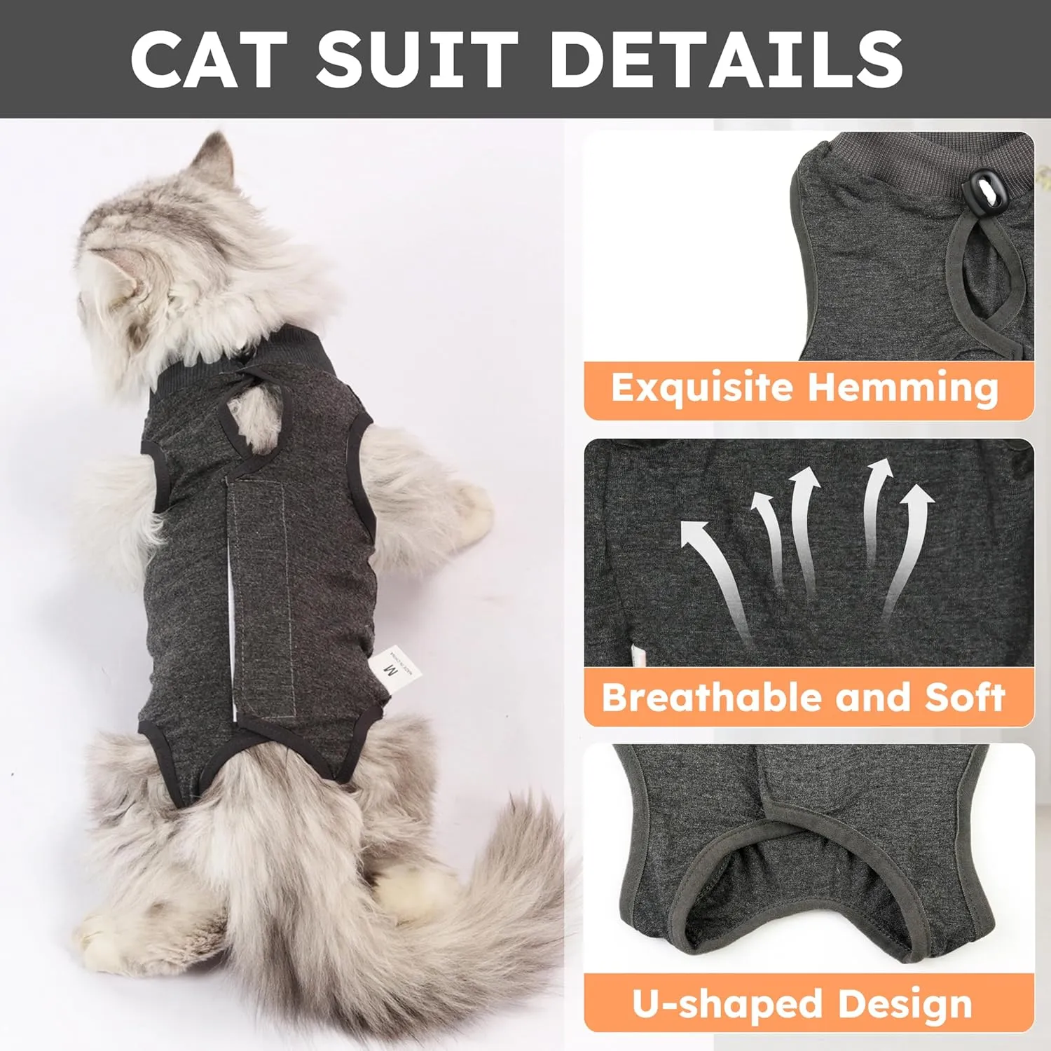 Cat ,,(,S)