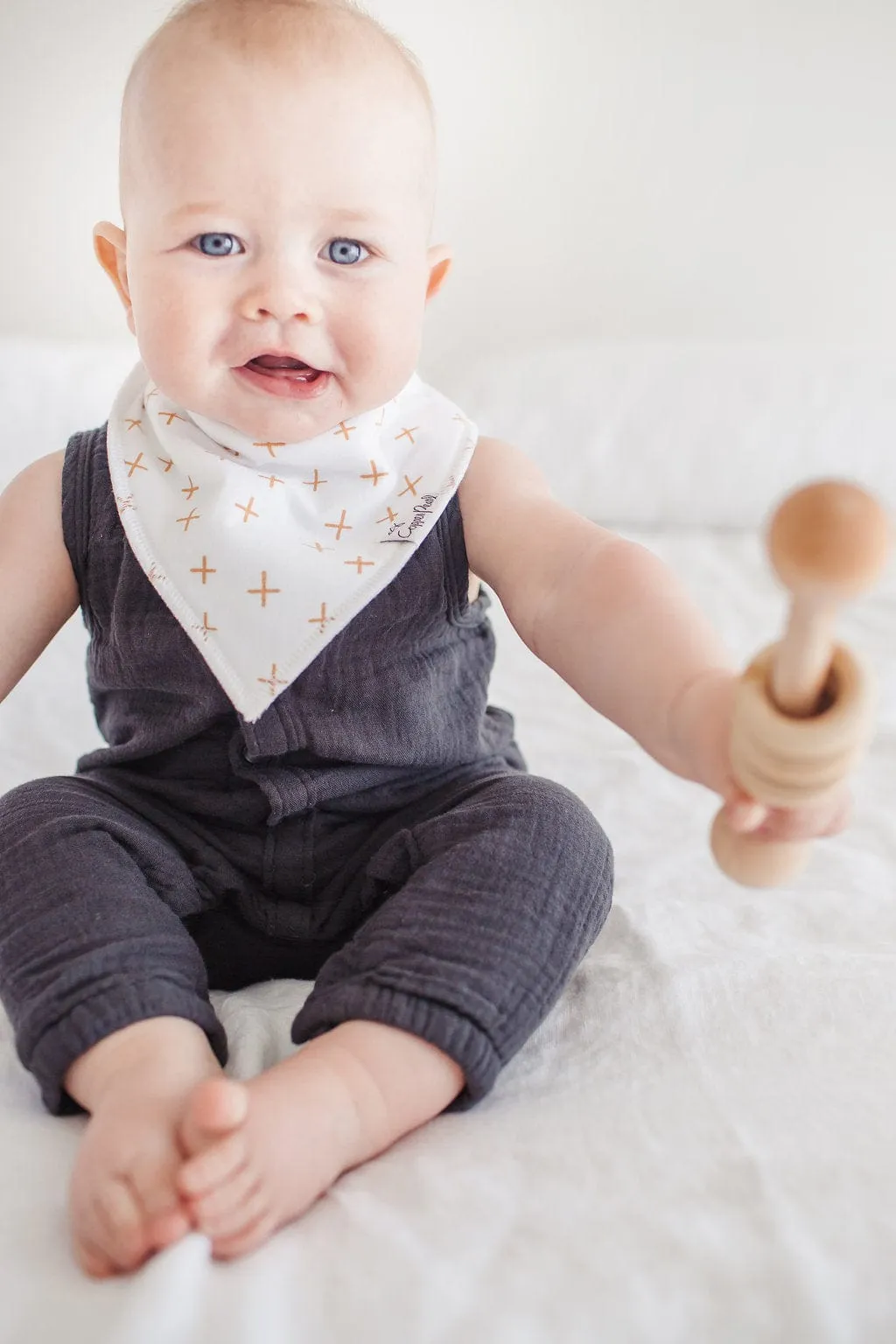 Chip Bandana Bibs