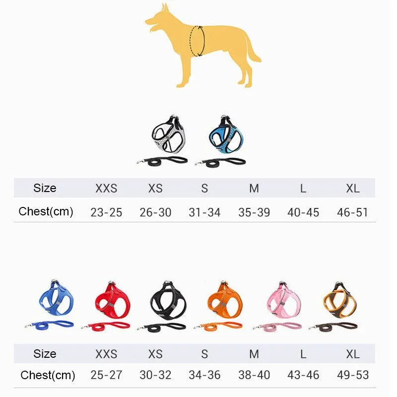 Comfortable Dog Chest Harness with Leash