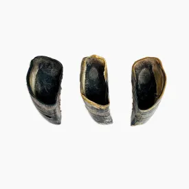 Cow Hooves