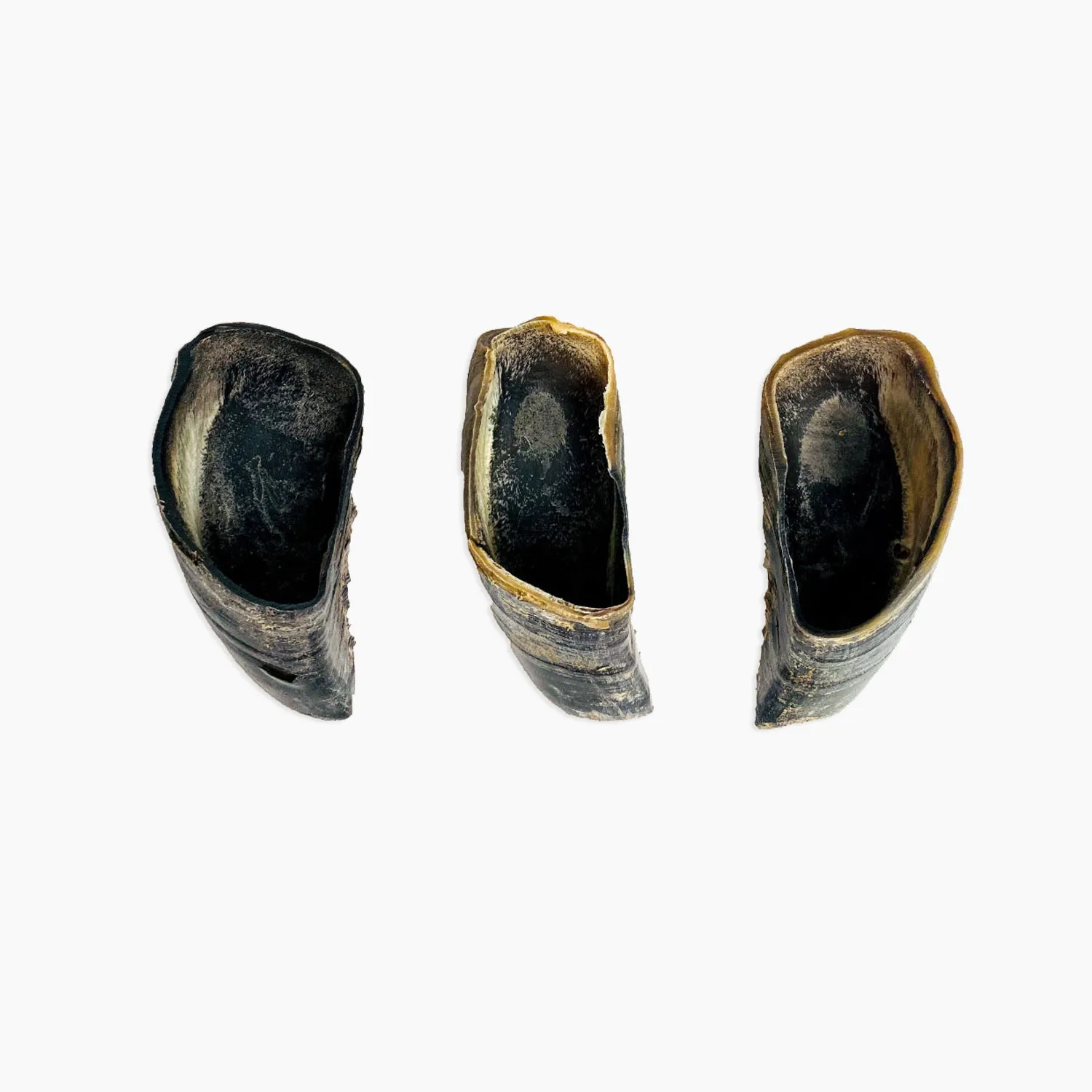 Cow Hooves