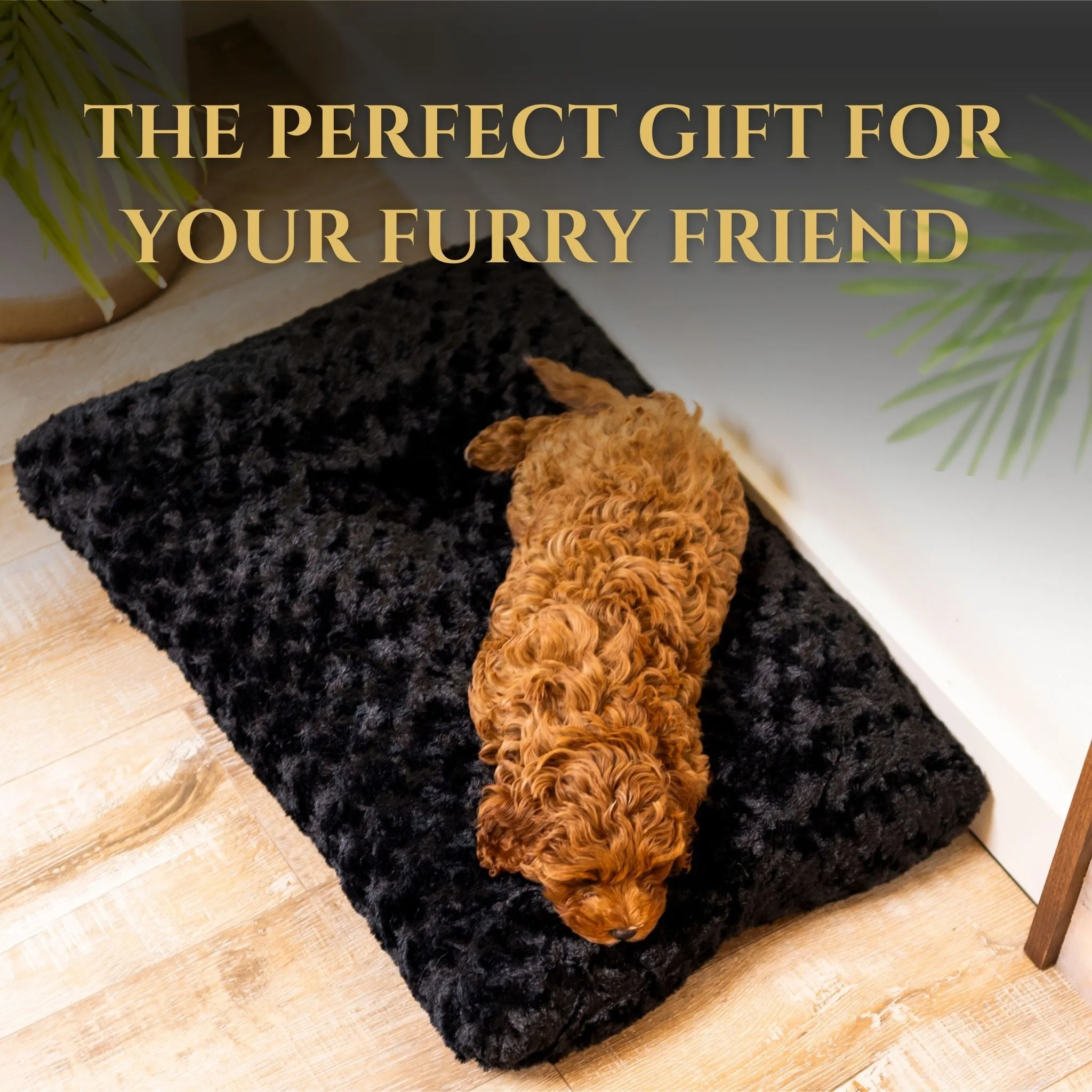 Cozy Canine Dog Bed