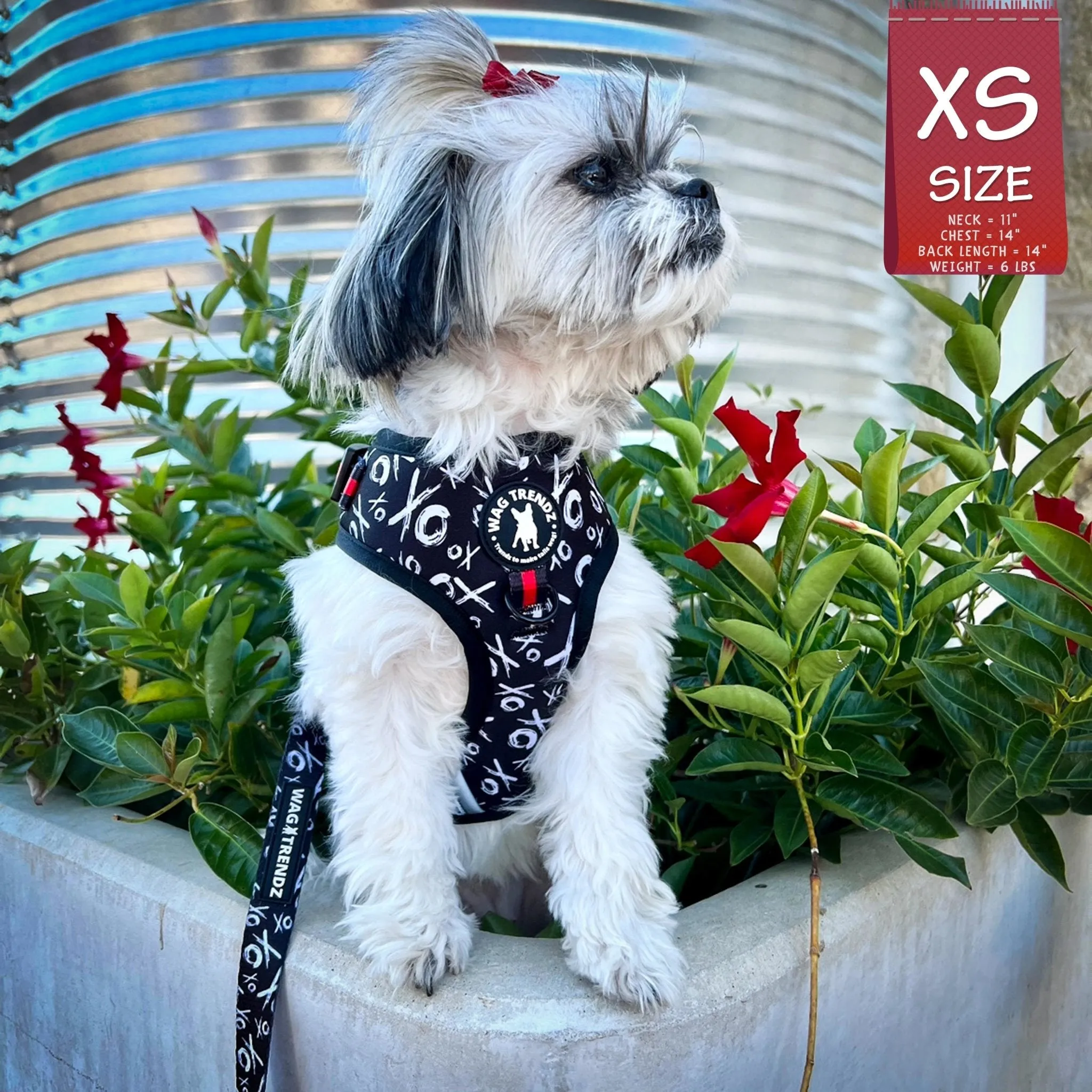 Dog Collar, Harness and Leash Set | XO Hugs & Kisses
