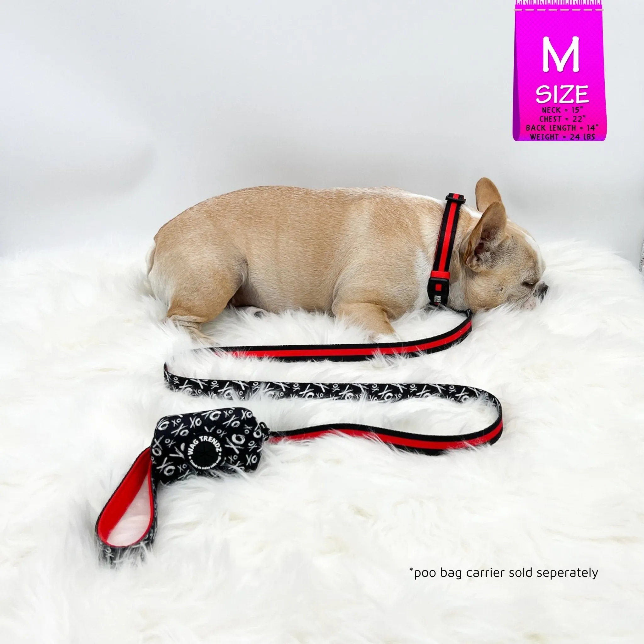 Dog Collar, Harness and Leash Set | XO Hugs & Kisses
