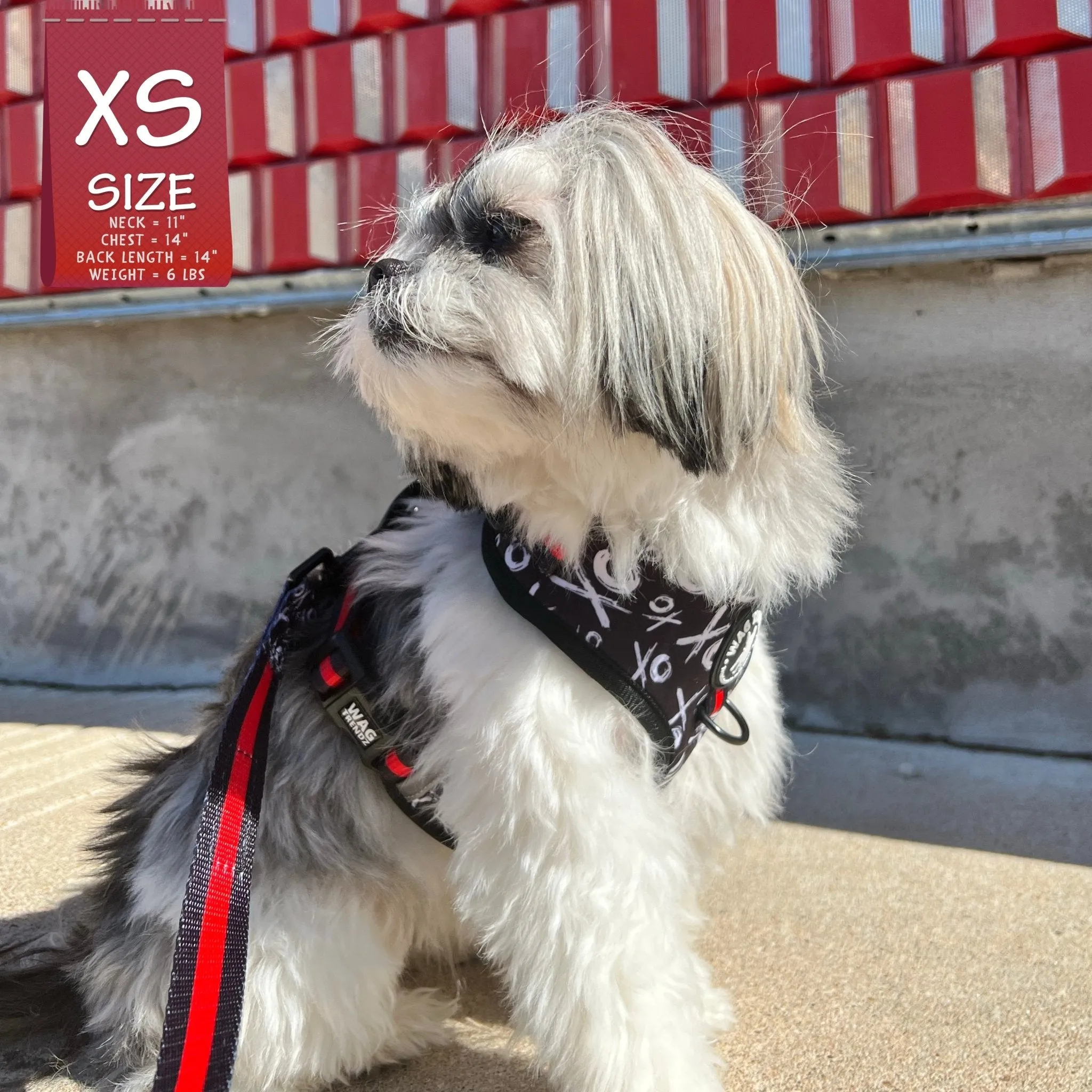 Dog Collar, Harness and Leash Set | XO Hugs & Kisses