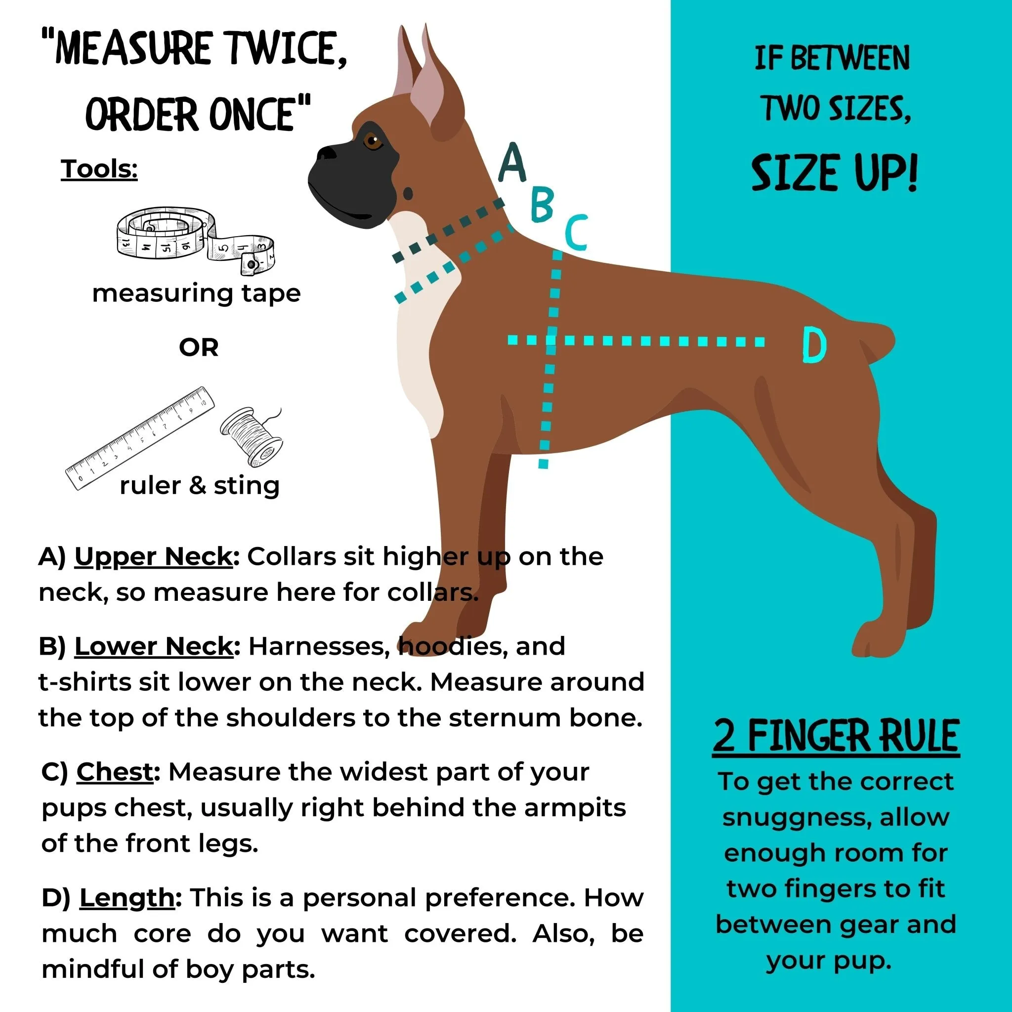 Dog Collar, Harness and Leash Set | XO Hugs & Kisses