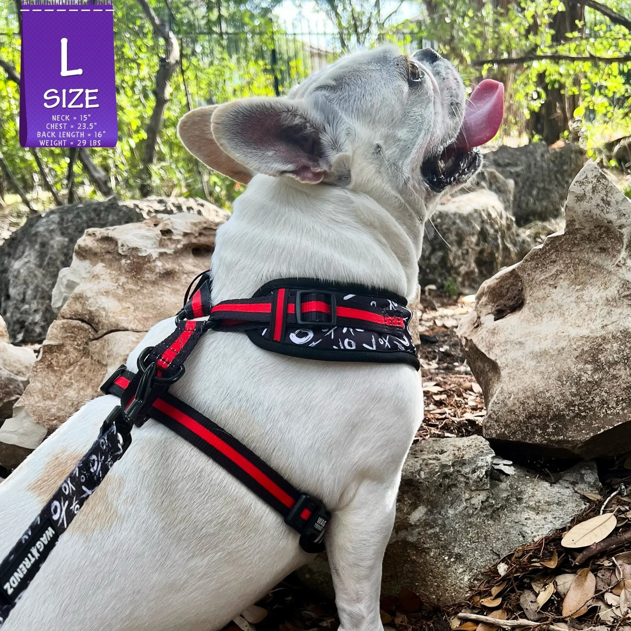 Dog Collar, Harness and Leash Set | XO Hugs & Kisses