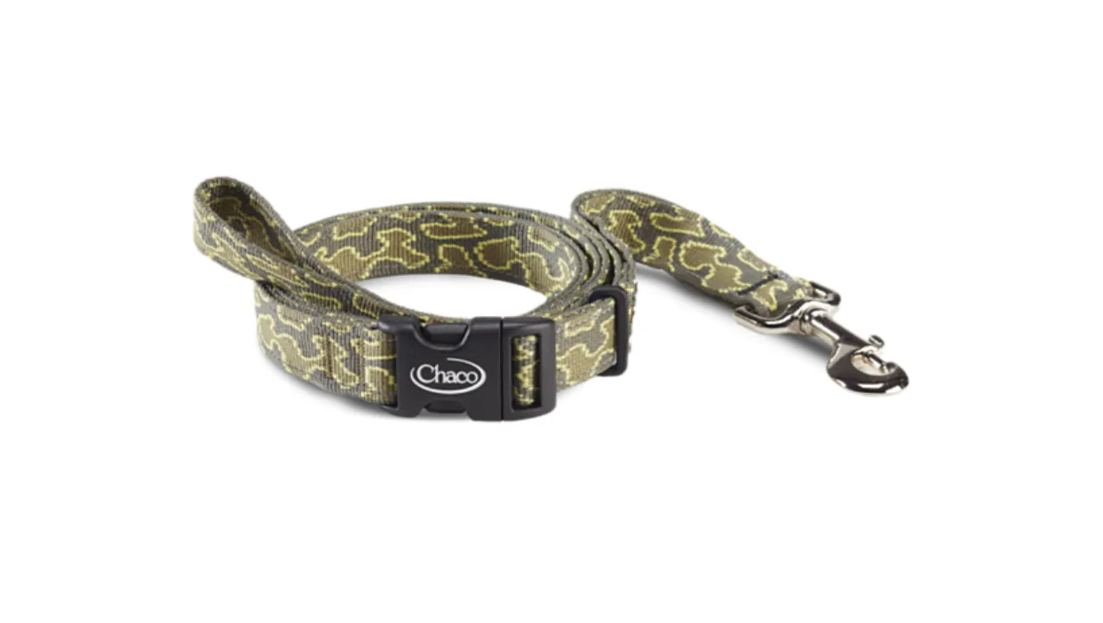 Dog Leash