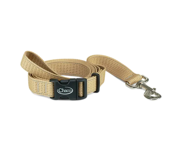 Dog Leash