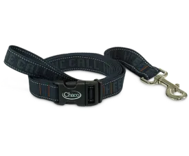 Dog Leash