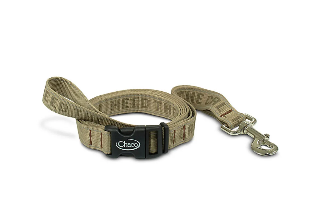 Dog Leash