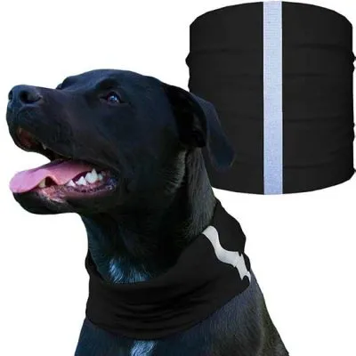 Dog Shields  | Tactical | Black