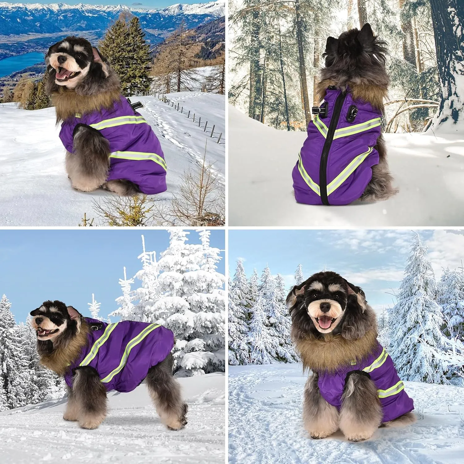 Dog Winter Coat with Harness - Waterproof & Warm Dog Jackets - Dog Coats with Easy Zip-Up Design - Turtleneck Fleece Lined Dog Clothes - Reflective Dog Snowsuit Dog Vest for Medium Dogs Purple M