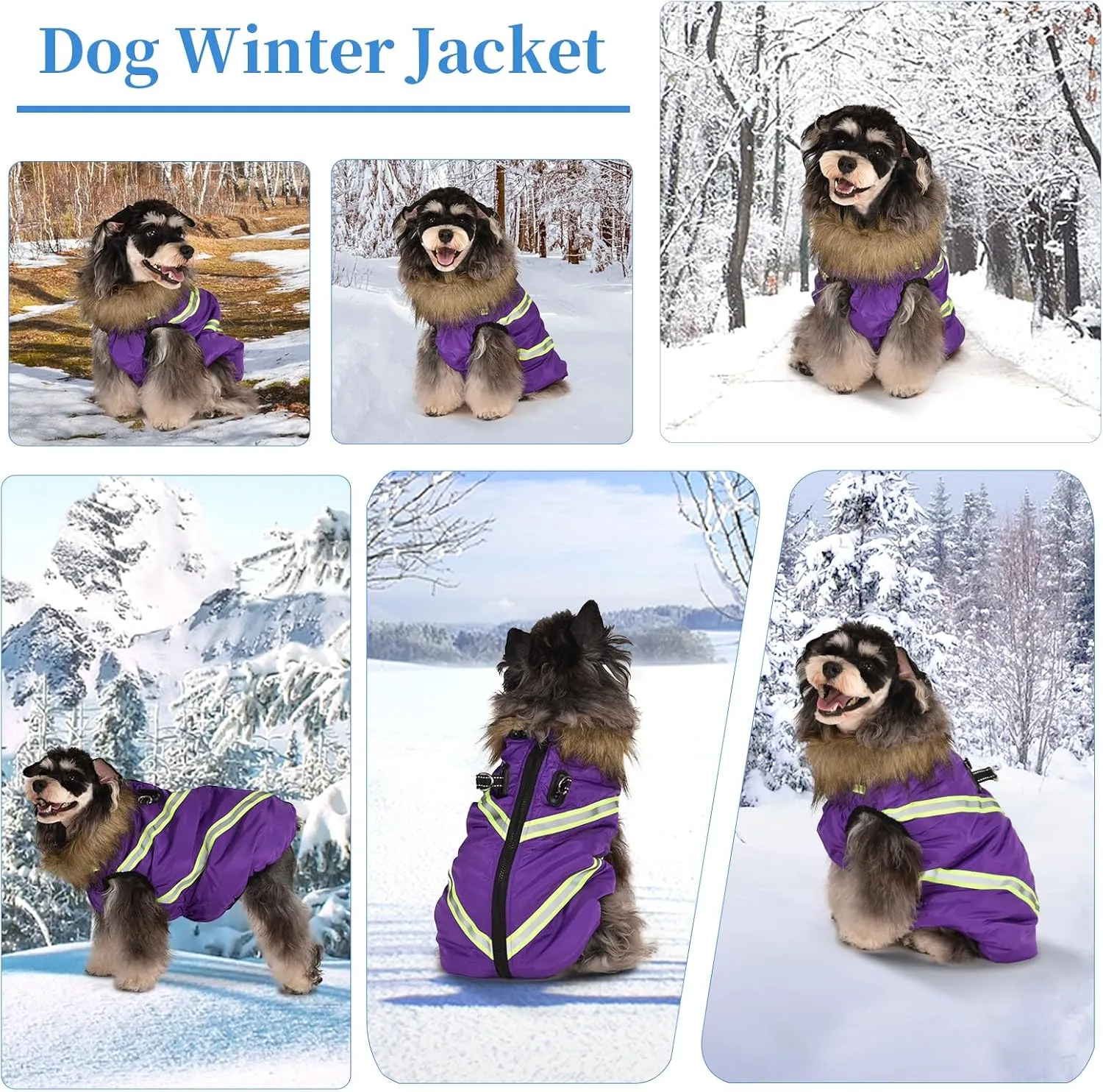 Dog Winter Coat with Harness - Waterproof & Warm Dog Jackets - Dog Coats with Easy Zip-Up Design - Turtleneck Fleece Lined Dog Clothes - Reflective Dog Snowsuit Dog Vest for Medium Dogs Purple M