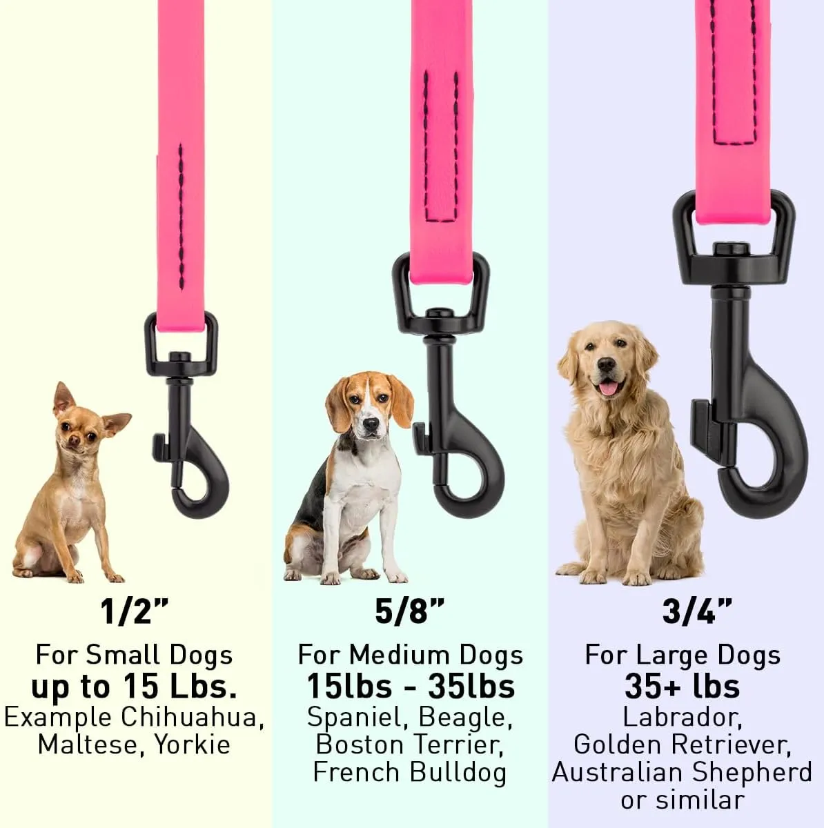 Dogline Biothane Waterproof Dog Leash Strong Coated Nylon Webbing with Black Hardware Odor-Proof Easy to Clean High Performance for Small or Large Dogs Made in USA 4 or 6 ft Lead, Passionfruit Pink