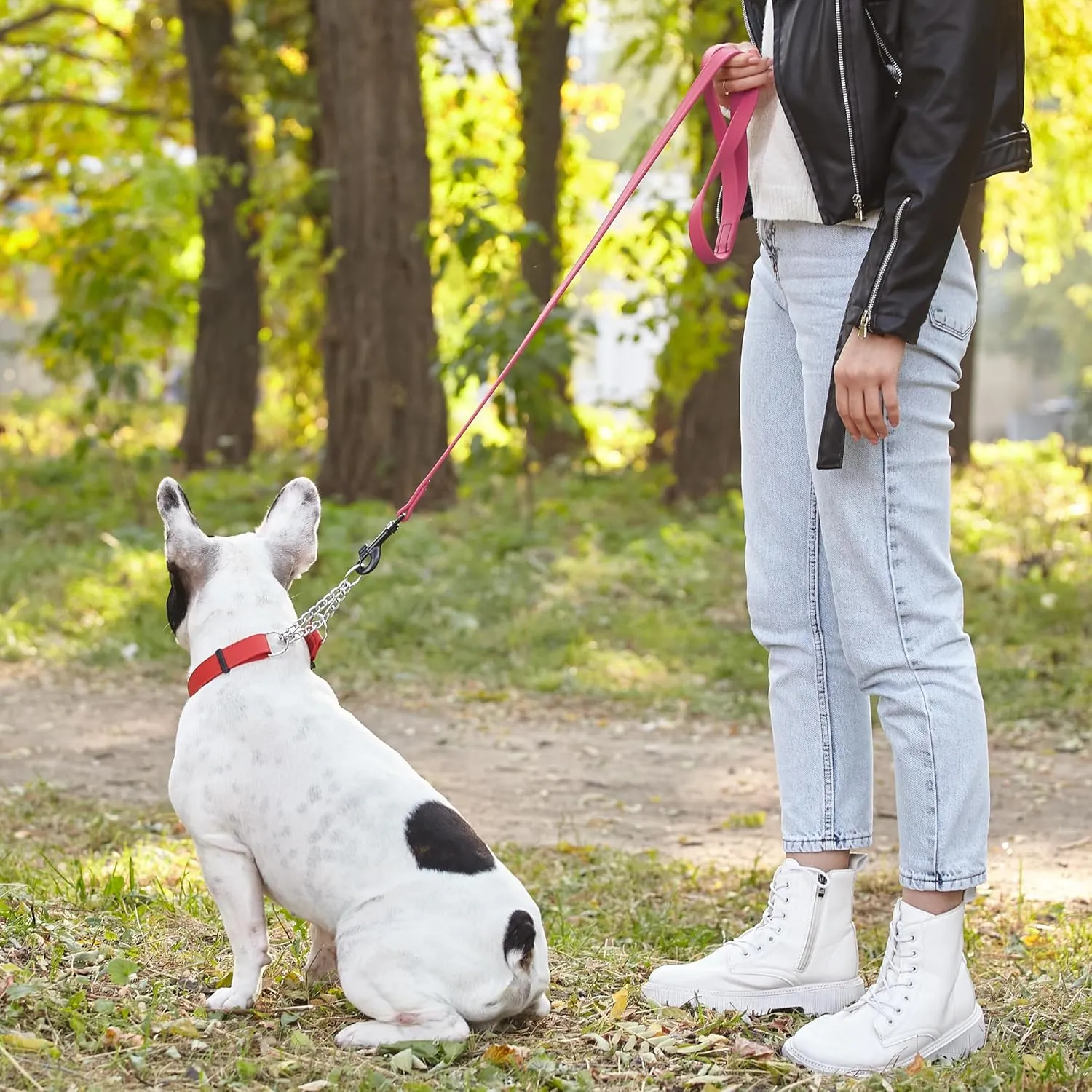 Dogline Biothane Waterproof Dog Leash Strong Coated Nylon Webbing with Black Hardware Odor-Proof Easy to Clean High Performance for Small or Large Dogs Made in USA 4 or 6 ft Lead, Passionfruit Pink