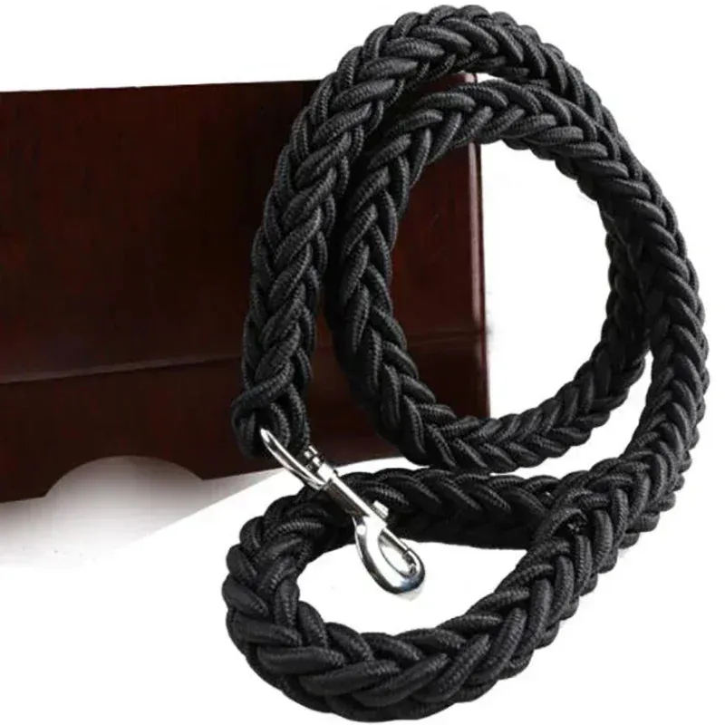 Durable Nylon Dog Harness & Leash for Outdoor Adventures