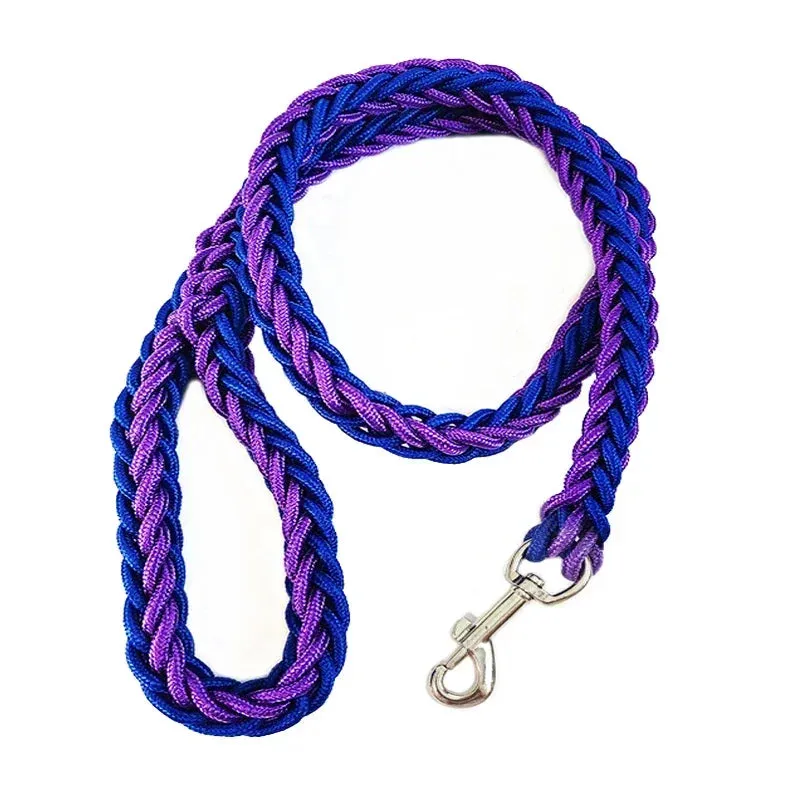 Durable Nylon Dog Harness & Leash for Outdoor Adventures