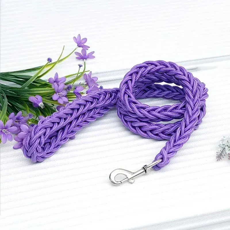 Durable Nylon Dog Harness & Leash for Outdoor Adventures