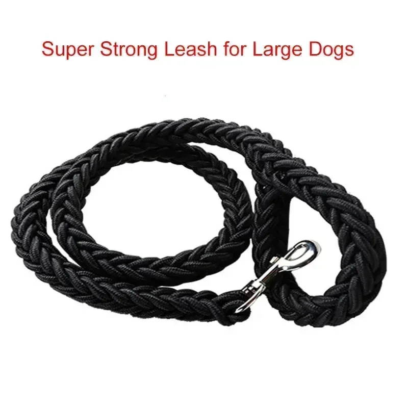 Durable Nylon Dog Harness & Leash for Outdoor Adventures