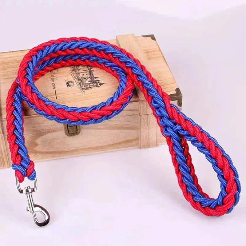 Durable Nylon Dog Harness & Leash for Outdoor Adventures