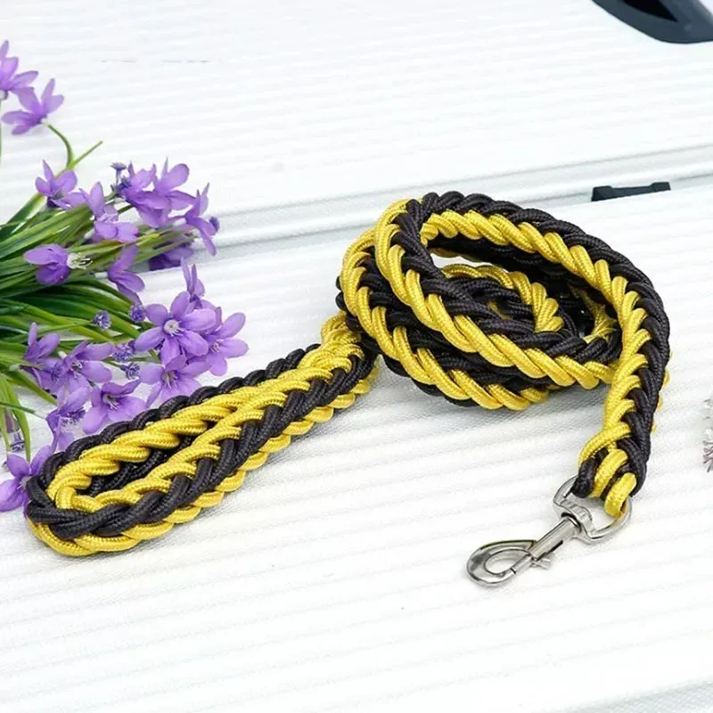 Durable Nylon Dog Harness & Leash for Outdoor Adventures