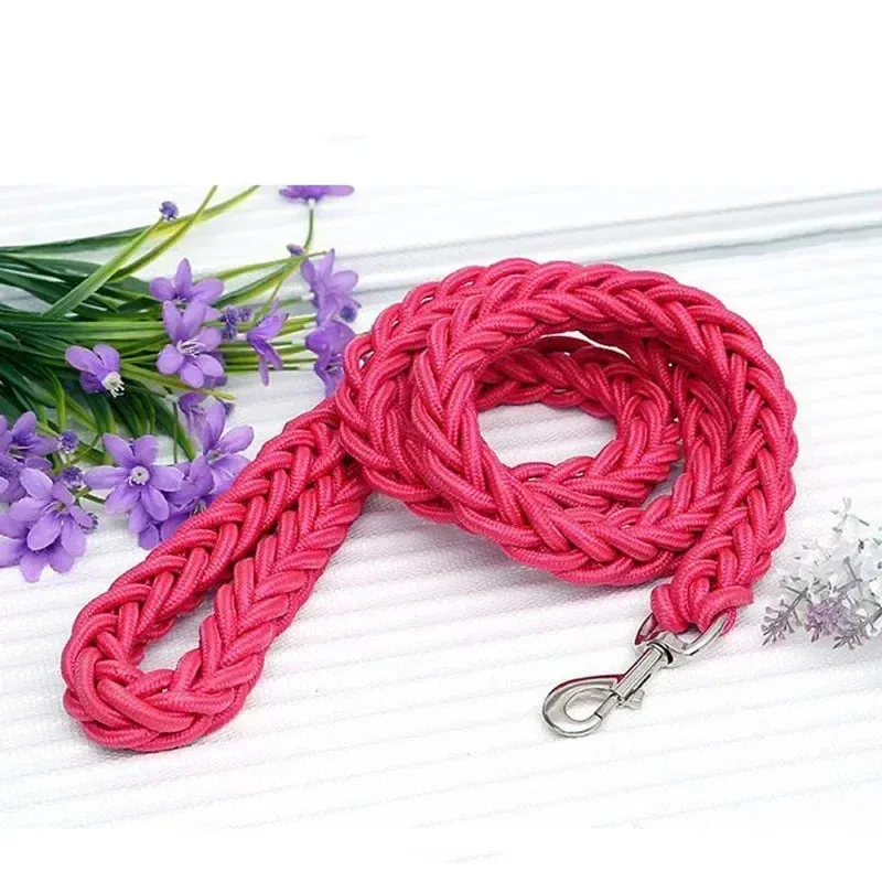 Durable Nylon Dog Harness & Leash for Outdoor Adventures
