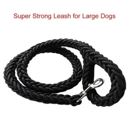 Durable Nylon Dog Harness & Leash for Outdoor Adventures