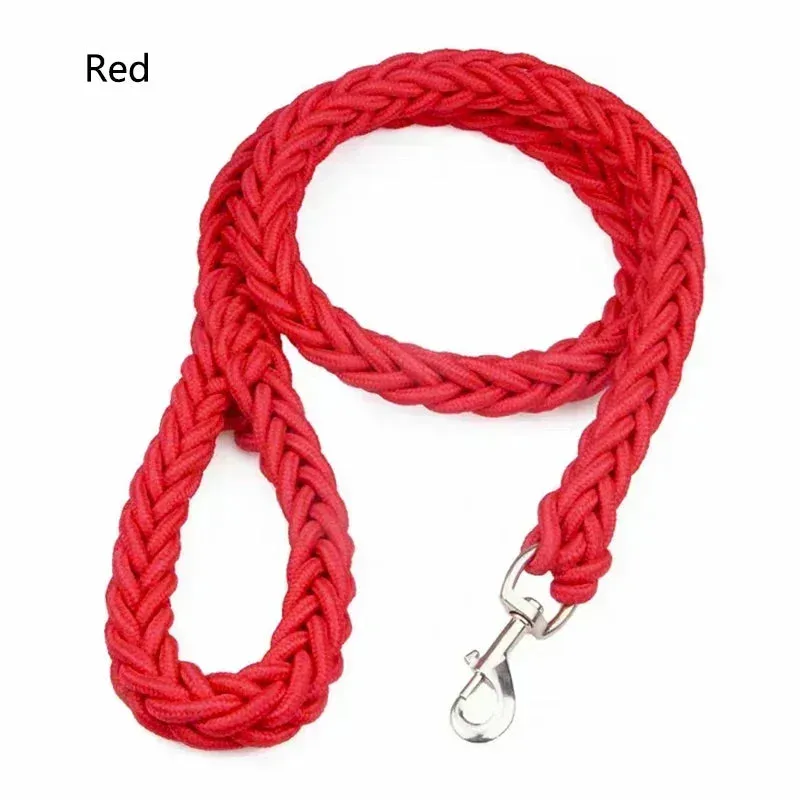 Durable Nylon Dog Harness & Leash for Outdoor Adventures